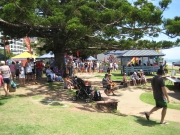australia day under the trees-gallery  